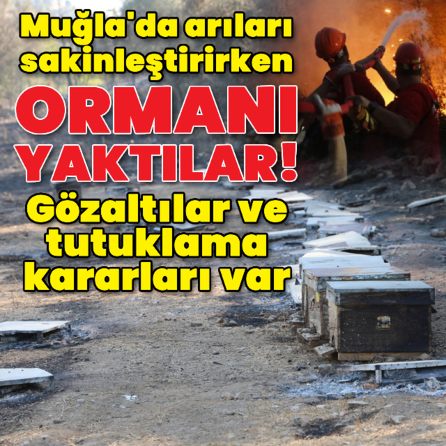 Orman yangınlarında ikinci hafta!