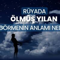 Rüyada Ölmüş Yılan Görmek Ne Anlama Gelir?