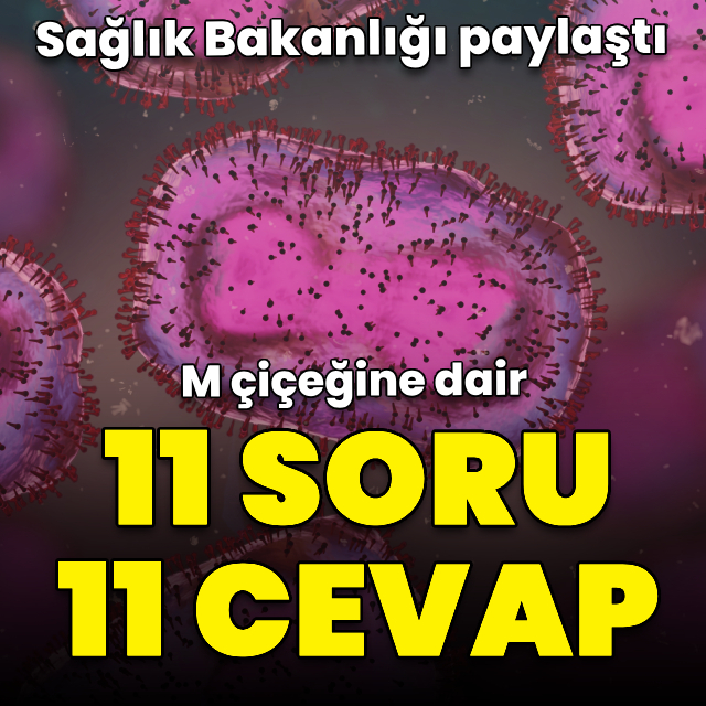 M çiçeğine dair 10 soru 10 cevap