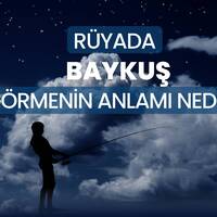 Rüyada baykuş görmek ne anlama gelir?