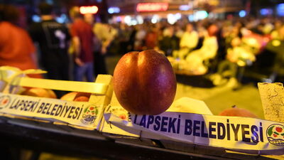 Şeftali ve nektarin şampiyonları belli oldu