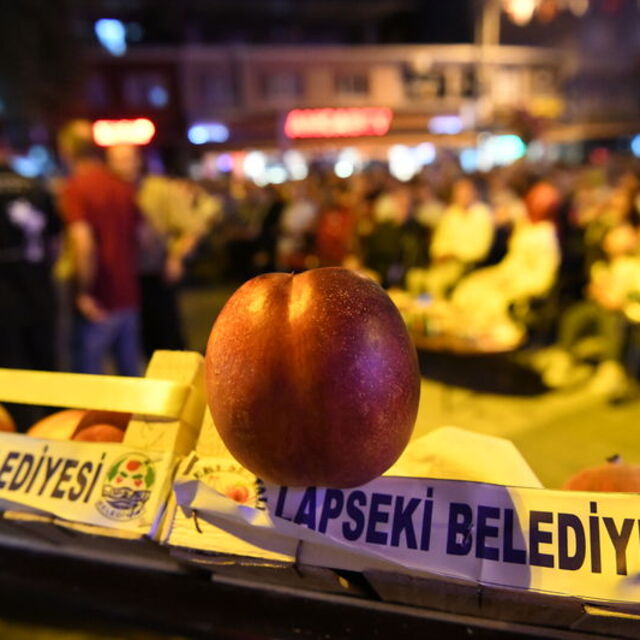 Şeftali ve nektarin şampiyonları belli oldu