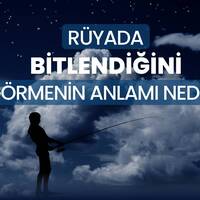 Rüyada bitlenmek ne anlama gelir?