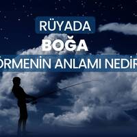 Rüyada boğa görmek ne anlama gelir?