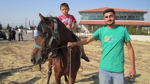Kale Belediyesi at çiftliği kurdu