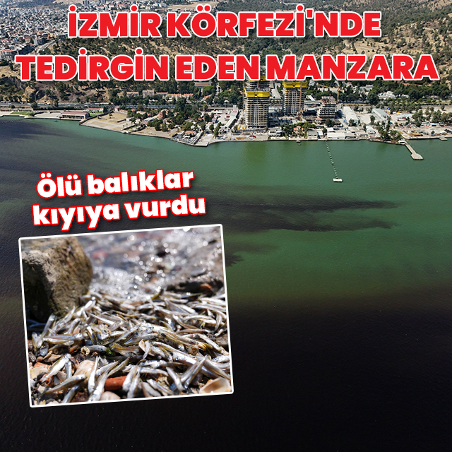 İzmir'de tedirgin eden manzara