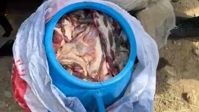 Dağ keçisi avlayan 3 kişiye 699 bin TL ceza