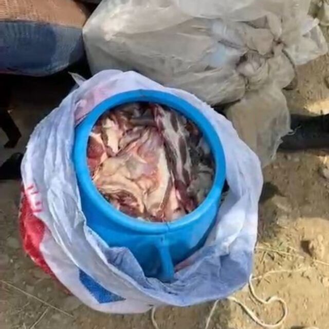 Dağ keçisi avlayan 3 kişiye 699 bin TL ceza
