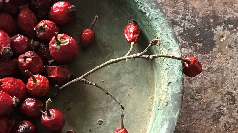 'Kurda, Kuşa, Aşa… Ve Göze' bomontiada'da