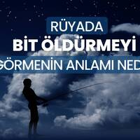 Rüyada bit öldürmek ne anlama gelir?