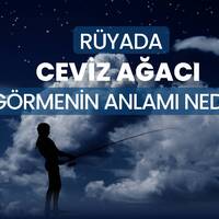 Rüyada ceviz ağacı görmek ne anlama gelir?