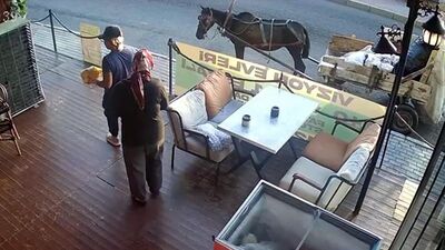 At arabasıyla gelip lokantadaki etleri çaldılar