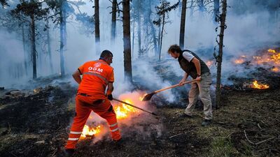 Bolu, İzmir, Isparta ve Afyonkarahisar'da orman yangını