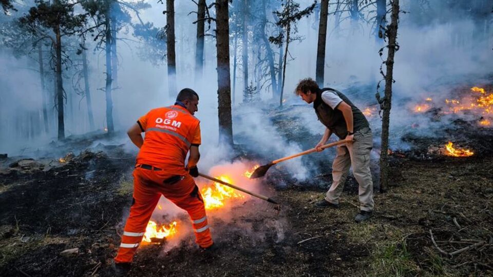 Bolu, İzmir, Isparta ve Afyonkarahisar'da orman yangını