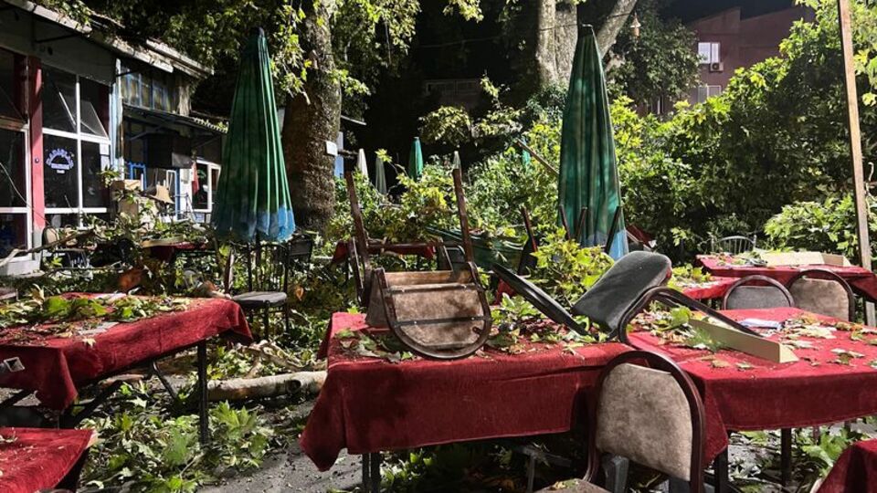 Kırılan ağacın altında kaldılar: 9 yaralı