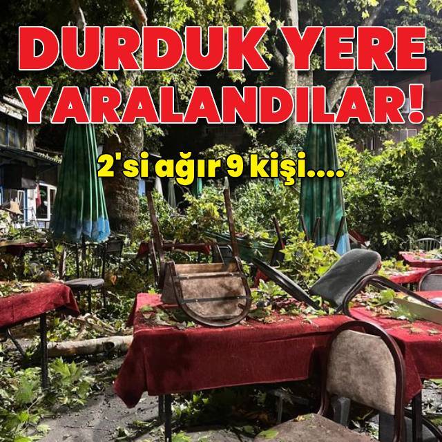 Kırılan ağacın altında kaldılar: 9 yaralı