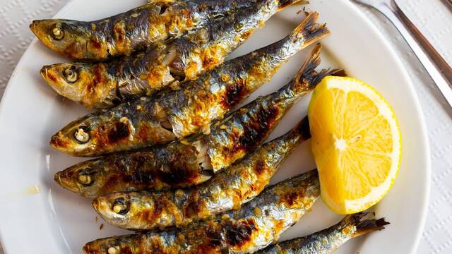 Balık eylülde yenir