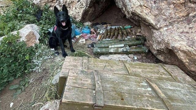 Mühimmat ve patlayıcı düzenekleri ele geçirildi