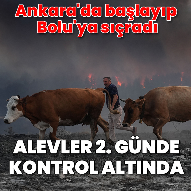 Ankara'daki orman yangını Bolu'ya sıçradı: Alevler 2. günde kontrol altına alındı