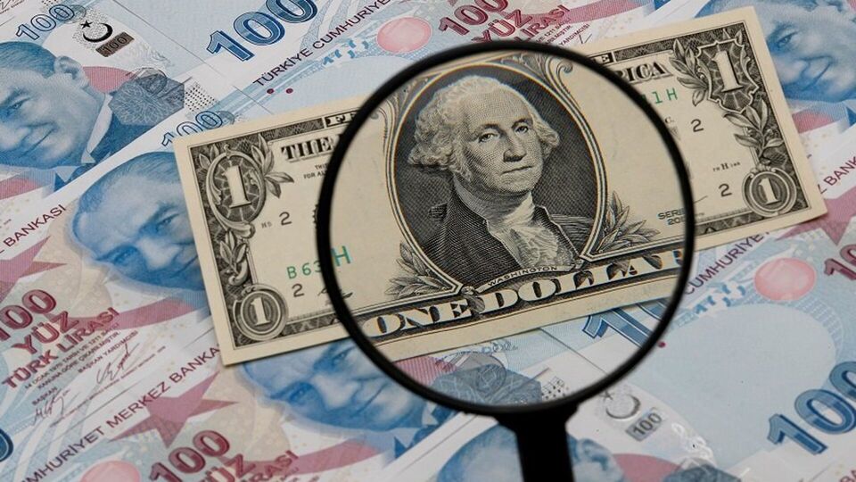 Döviz mevduatları neden artıyor?