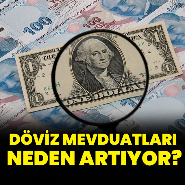 Döviz mevduatları neden artıyor?
