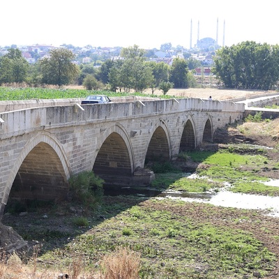 Tunca Nehri'nin bazı bölümlerinde su akışı durdu: "Bir tane canlı kalmadı"