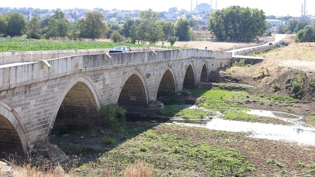 Tunca Nehri'nin bazı bölümlerinde su akışı durdu: "Bir tane canlı kalmadı"