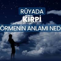 Rüyada kirpi görmek ne anlama gelir?
