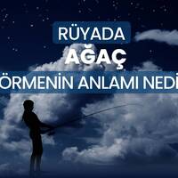 Rüyada ağaç görmek ne anlama gelir?