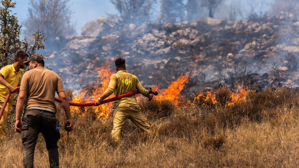 Ankara-Bolu sınırındaki yangında tutuklama kararı!