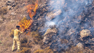 Ankara'dan Bolu'ya sıçramıştı! 1 tutuklama