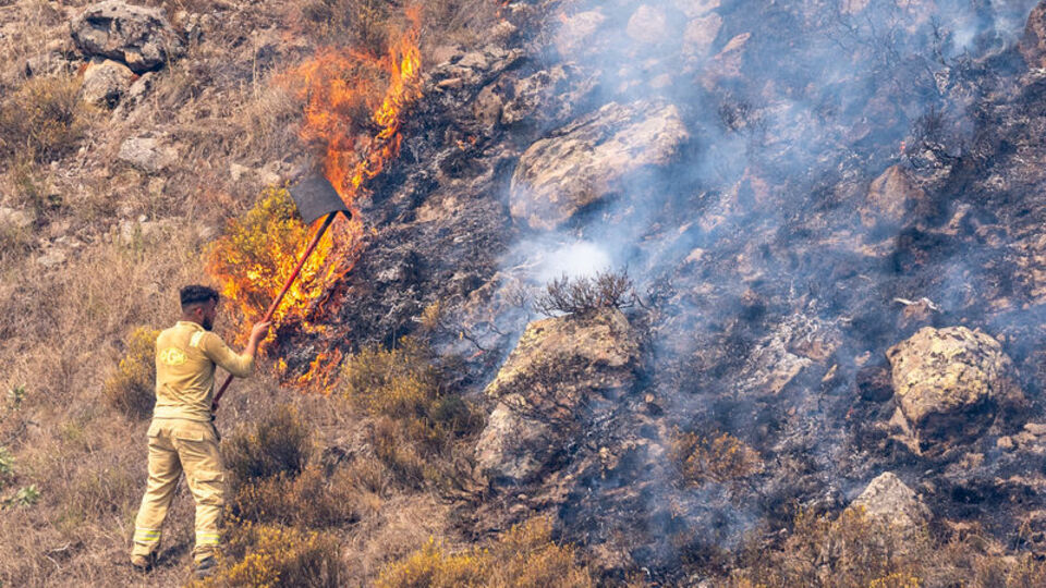 Ankara'dan Bolu'ya sıçramıştı! 1 tutuklama