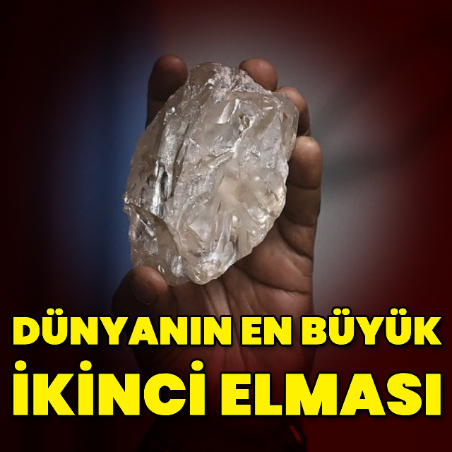 Dünyanın en büyük ikinci elması bulundu