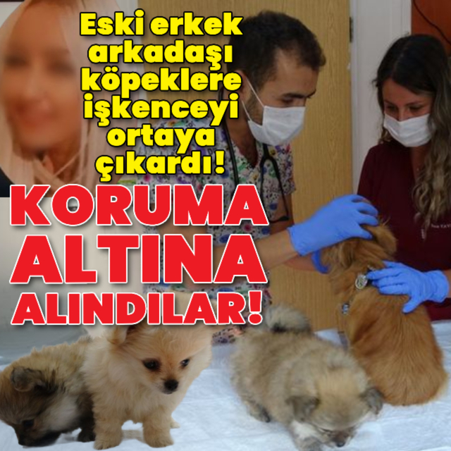Eski erkek arkadaşı köpeklere işkenceyi ortaya çıkardı!
