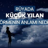 Rüyada küçük yılan görmek ne anlama gelir?