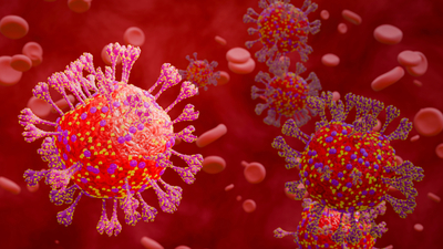 İstanbul Havalimanı'nda 11 ülkeden gelen uçuşlar takibe alındı