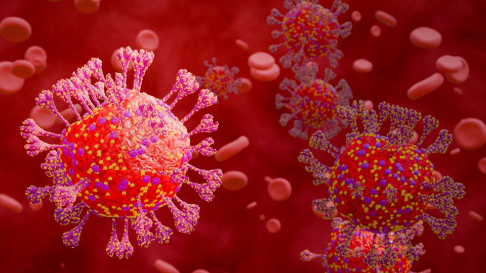 İstanbul Havalimanı'nda 11 ülkeden gelen uçuşlar takibe alındı