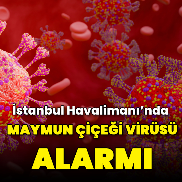 İstanbul Havalimanı’nda 11 ülkeden gelen uçuşlar takibe alındı