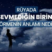 Rüyada sevmediğim birini görmek ne anlama gelir?