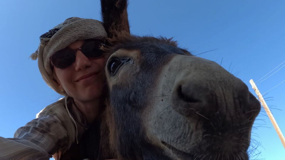 Arkeolog, kazı alanındaki sıpayı sahiplendi