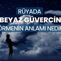 Rüyada beyaz güvercin görmek ne anlama gelir?