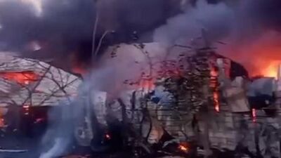 Tuzla'da depoda yangın: 2 köpek öldü