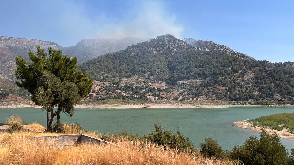 Milas'ta yanan ormanlık alana otel mi yapılacak?