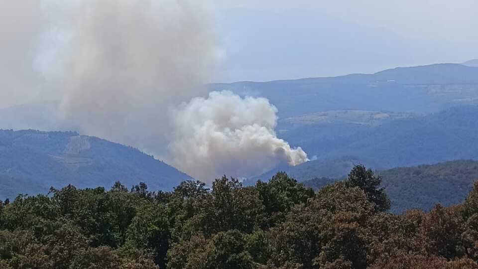 Bursa'da orman yangını