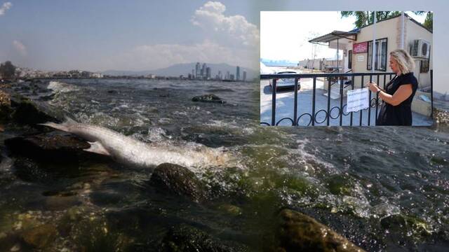 İzmir Körfezi'nde "afişli" uyarı!