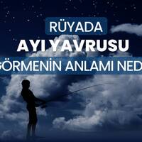 Rüyada ayı yavrusu görmek ne anlama gelir?