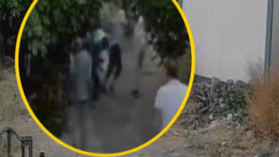 Bahçedeki koyun cinayeti!