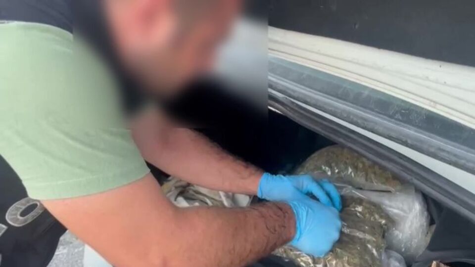 Artvin'de 502 kg esrar ele geçirildi