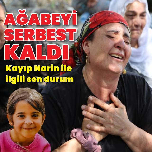 Narin Güran'ı arama çalışmalarında son gelişmeler