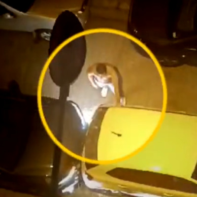  Eski sevgili dehşeti!